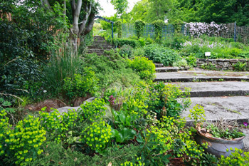 Gardening for Biodiversity Image